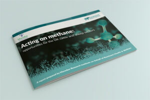 Ruminant Heath & Welfare - Acting on Methane Cover