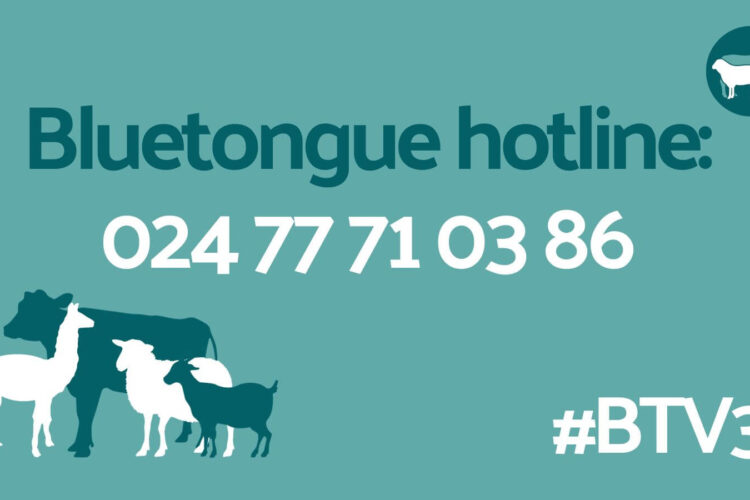 Bluetongue hotline: 024 77 71 03 86