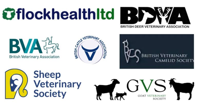 Supporting Veterinary organisations