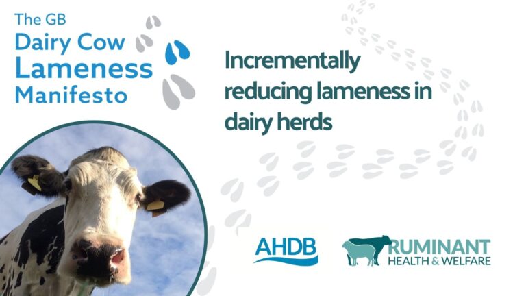The GB Dairy Cow Lameness Manifesto