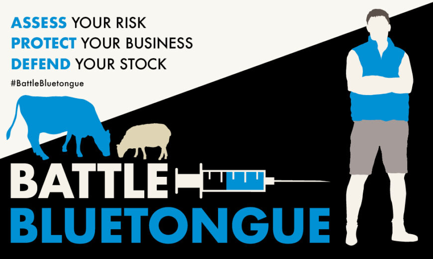 Vets urged to support farmers in the battle against bluetongue