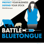 BTV-3 BattleBluetongue campaign_tile image_Feb 25