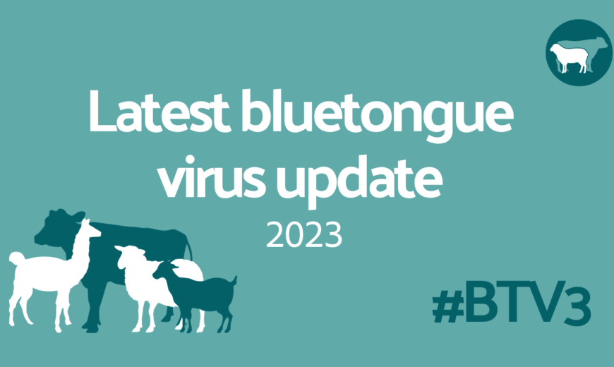 Latest Updates Bluetongue 2023