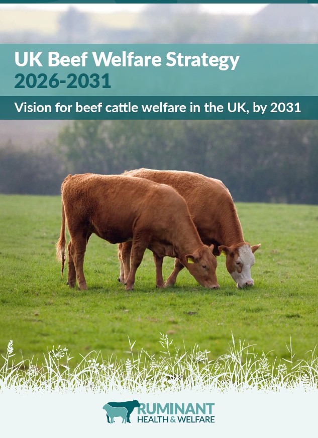 UK Beef Welfare front cover