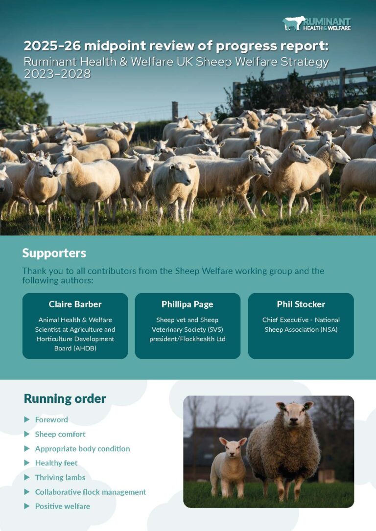 Sheep Welfare Strategy progress report